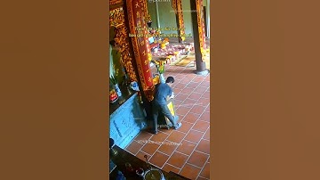 Trộm tiền công đức thế này bao giờ mới trả hết nghiệp anh ơi 😟 #tromcap #tromcuop #tamlinh #nhanqua