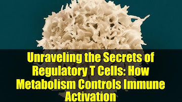 Unraveling the Secrets of Regulatory T Cells: How Metabolism Controls Immune Activation