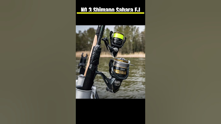 TOP 3 BEST SPINNING REELS  2024