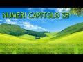 [bibbia audio in italiano]: NUMERI CAPITOLO 28