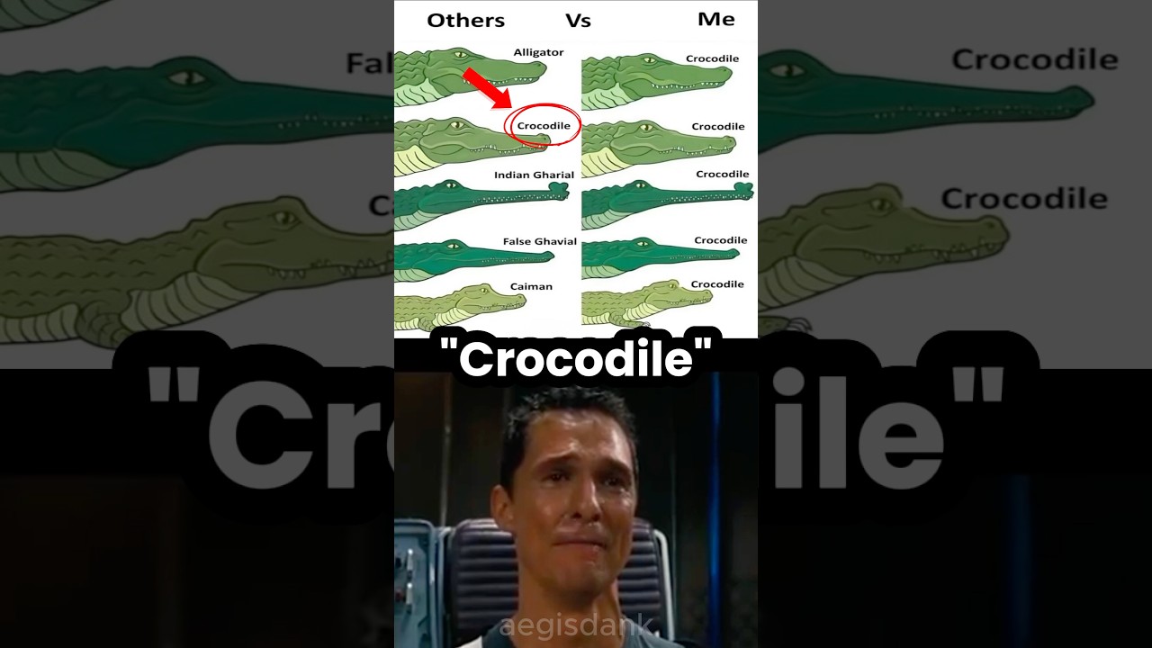 It’s All a Crocodile to Them 😂🐊