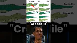 Its All A Crocodile To Them