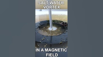 Water Vortex in a Magnetic Field