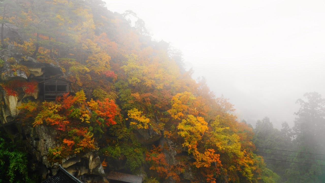 山形県山形市小白川町山形大学前ライブカメラ Yamagata Yamagatashi Live camera.world.cam