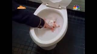 Patri̇cke Özel Tedavi̇