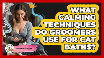What Calming Techniques Do Groomers Use For Cat Baths? - Happy Cat Handbook