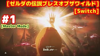 #1 [MasterMode] 真夏に最高の伝説を [ゼルダの伝説ブレスオブザワイルド][Switch]