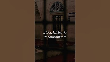 اكتب شيء تؤجر عليه ☘️🌻 | القارئ: ياسر الدوسري