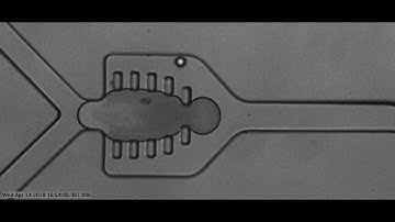 Droplet generation process