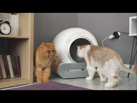 Wero Akıllı Kedi Tuvaleti / Kum Kabı