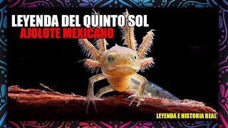 La HISTORIA del Ajolote/Axolote ❘ Anfibio endémico de México