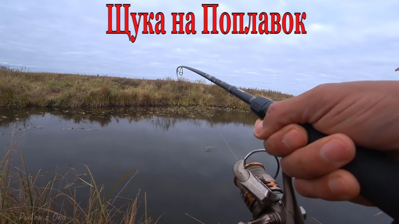 Карачуновское водохранилище - Рыбалка там, где клюет!