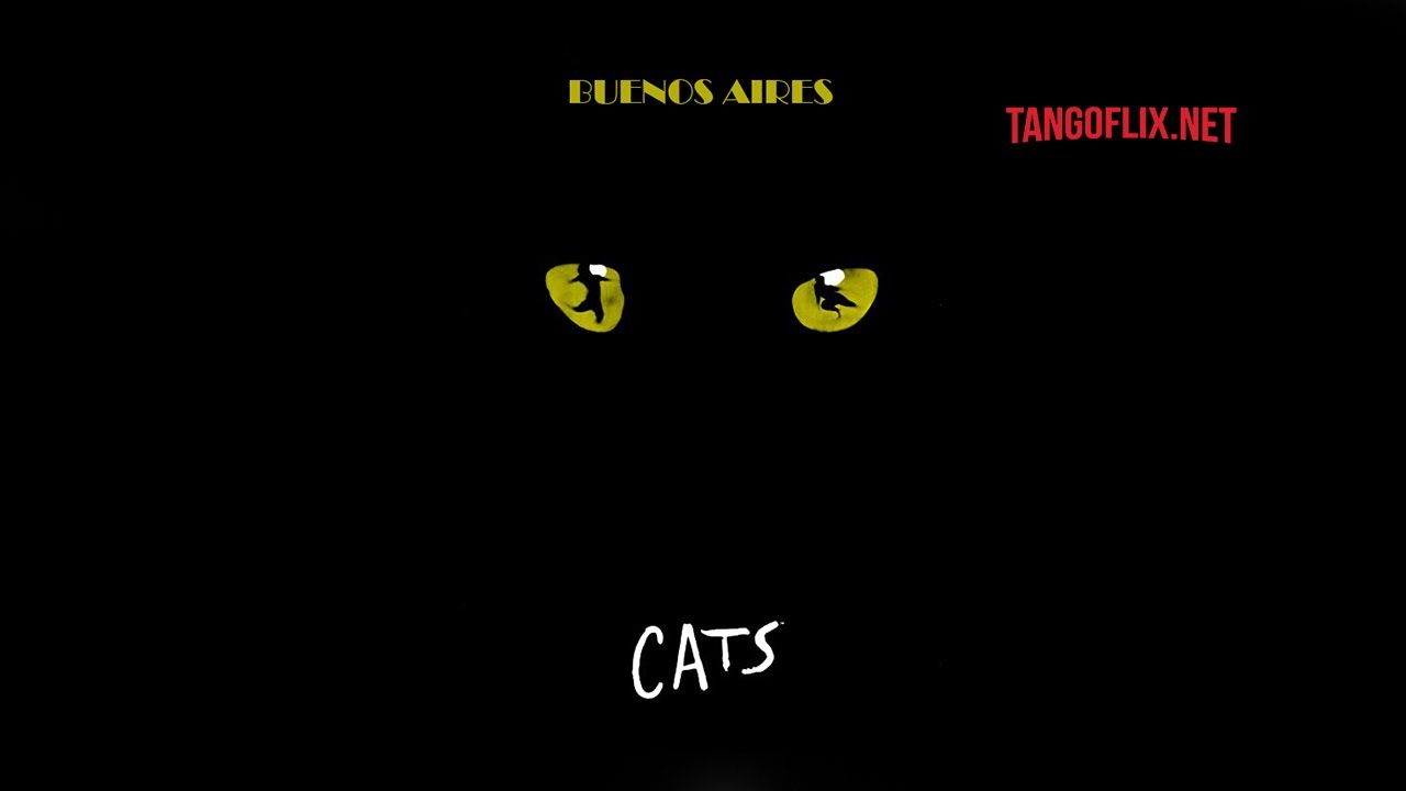 1993   Cats en Buenos Aires