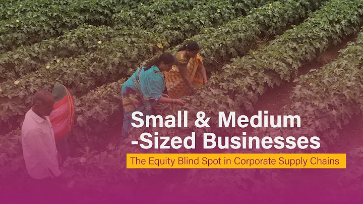 Small & Medium-Sized Businesses: The Equity Blind Spot in Corporate Supply Chains