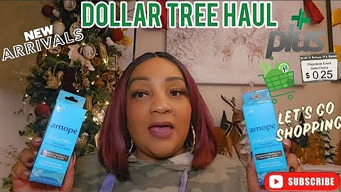 Dollar Tree Haul + Quick New in Store .25 Cent Hunt 