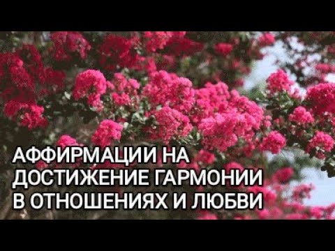 Аффирмации на достижение гармонии в отношениях и любви.