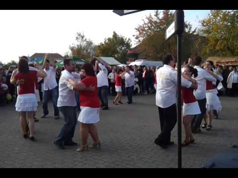 Dolce Dance Békéscsabai Kolbászfesztivál Salsa Rueda - YouTube