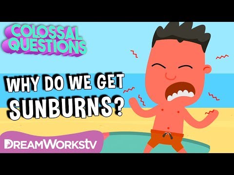 Why Do You Get Sunburns? | COLOSSAL QUESTIONS