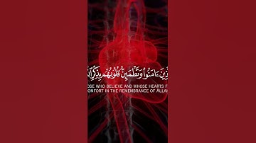 #اسلام_صبحي #تلاوة_خاشعة #ناصر_القطامي #ياسر_الدوسري #حالات_واتس #اللهم_صل_على_محمد #ادريس_ابكر