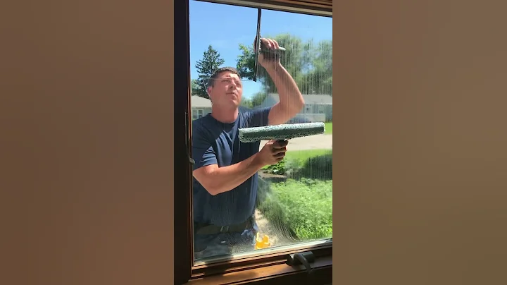 Professional/win...  to/clean windows/autistic... ...