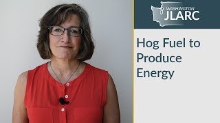 Hog Fuel To Produce Energy 2019 Jlarc Tax Preference Reviews