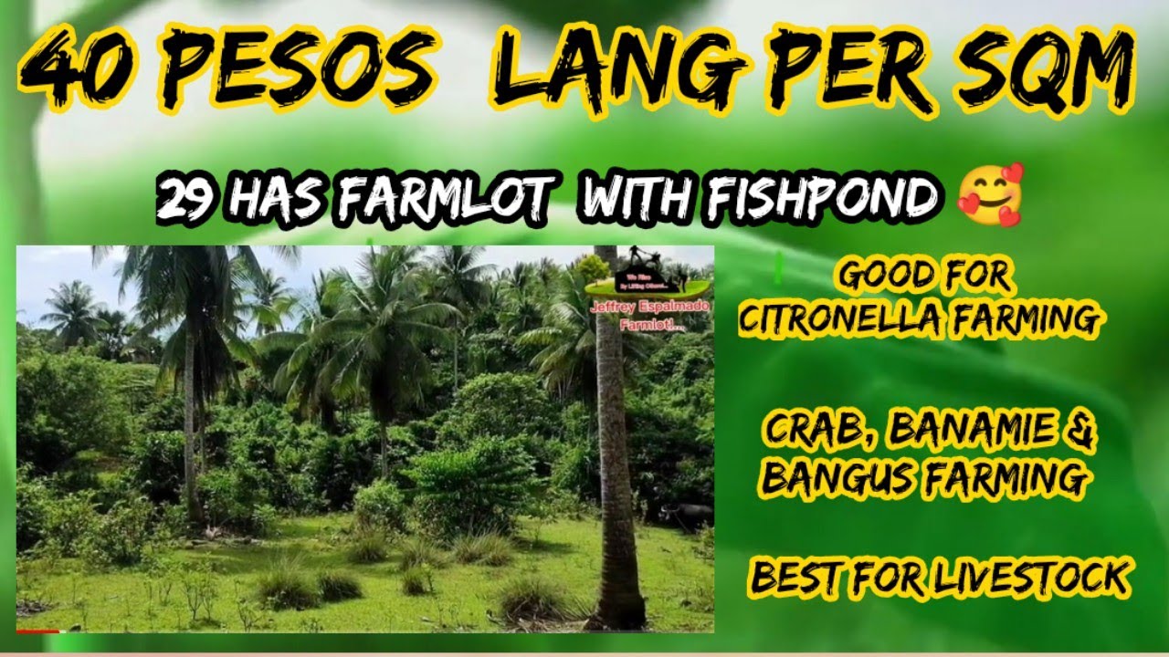 Retirement plan ba?🥰29 has farm & Fishpond.Good for livestock, citronella farm & seafood farming