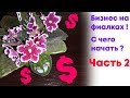 Бизнес на фиалках! Какие сорта фиалок разводить? Часть 2.