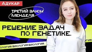 Решение задач по генетике | Третий закон Менделя | Биология ЕГЭ, ЦТ, ЦЭ |Решение генетических задач