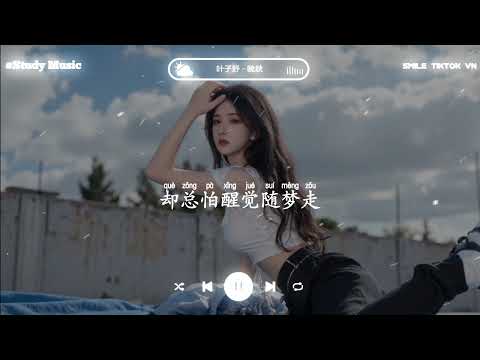 叶子舒 - 晚秋 (抖音热播版)『曾停留风里看着多少的晚秋，如何能跟你说别潇洒的远走，含愁凝望你要分手是时候』【動態歌詞Lyrics｜高音質|video】