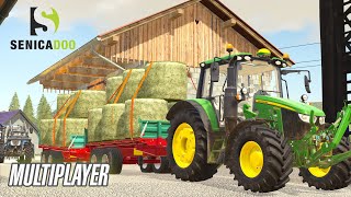 UTH19 - BALING GRASS MULTIPLAYER in South-east Slovenia