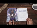 The Illustrated Bestiary: Guidance and Rituals from 36 Inspiring Animals (Book Trailer)