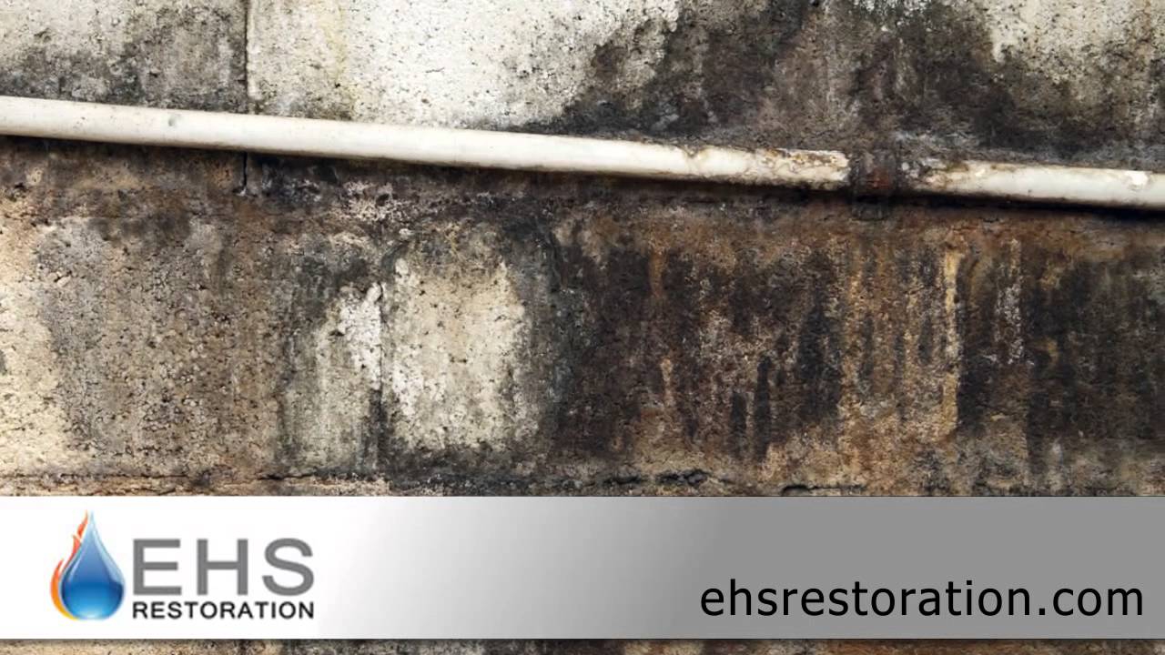 EHS Restoration Video | Water Damage Removal in Mesa