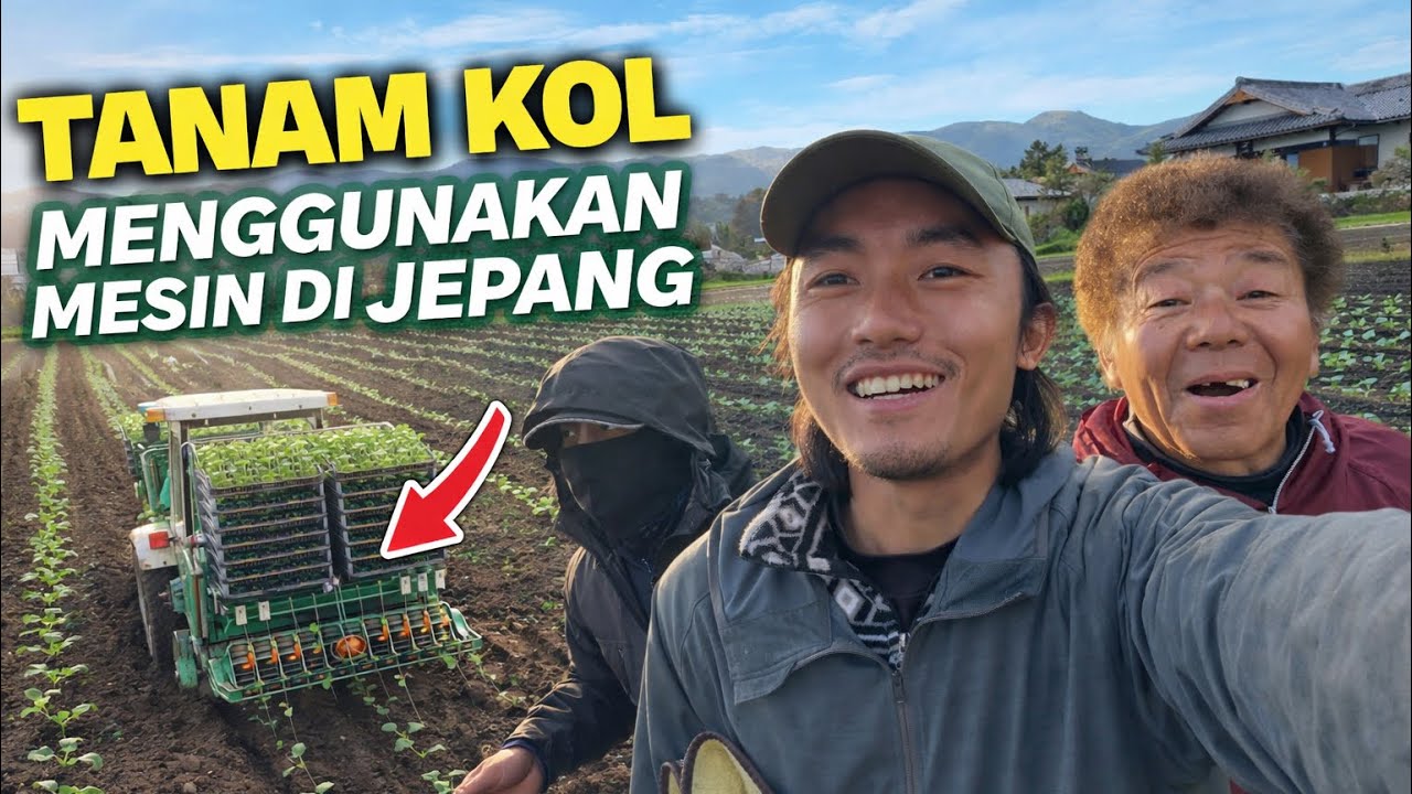 MESIN TANAM KOL DI JEPANG 🇯🇵// PUASA? TETAP KERJA
