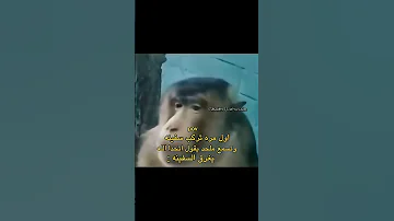لا هاذي جد طلوع الروح مقبول اكسبلور لايك اشتراك Explore 