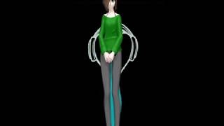 MMD GRRLS MEME Hazily OC