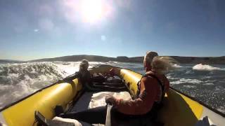 Wave Jumping 2014 Tomales Bay