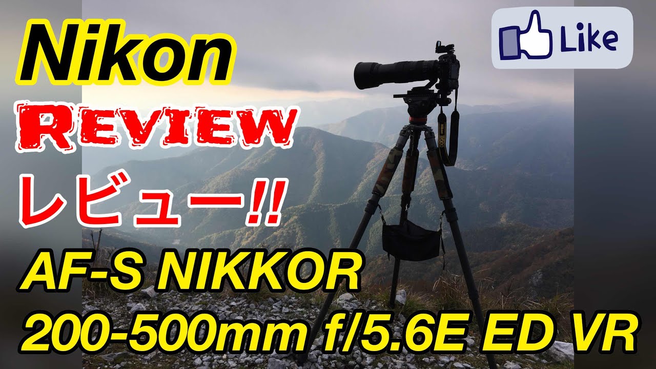 C R Af S Nikkor 0 500mm F 5 6e Ed Vr レンズレビュー Lens Review Youtube C R Af S Nikkor 0 500mm F 5 6e Ed Vr レンズレビュー Lens Review Youtube