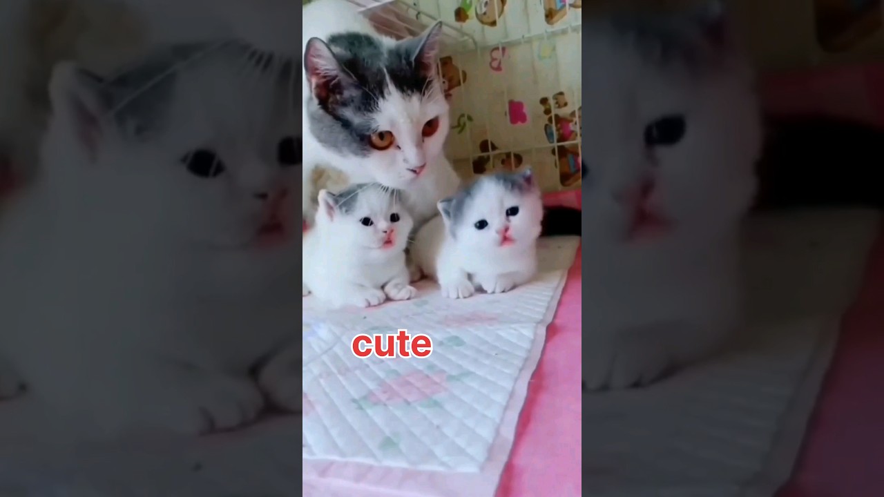 Do you Love me❤️ 