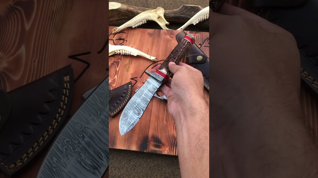 Beautiful Pair Gut Hook Skinning And Stag Der Horn Handle Hunting Fixed Blade Damascus Knives 