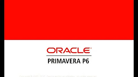 Primavera P6 Training- (Video 20)- Adding Expenses