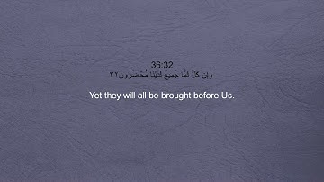Mohamed Ahmed Alzain - Surah 36 Yasin / محمد أحمد الزين - سورة 36 يسٓ