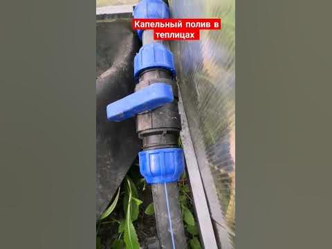 Капельный полив в теплицах #буднифермера #томаты #теплицы # ...