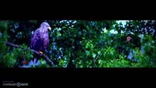 W-Mob Clickfriend For A Better World - Rob Buser