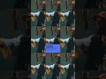Common, Pete Rock - All Kind Of Ideas (Live Session)