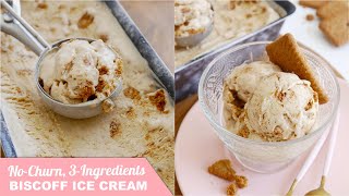 Sundae Recipe ? 3 ingredients to make a creamy classic Biscoff / Speculoos cookies Ice Cream dessert