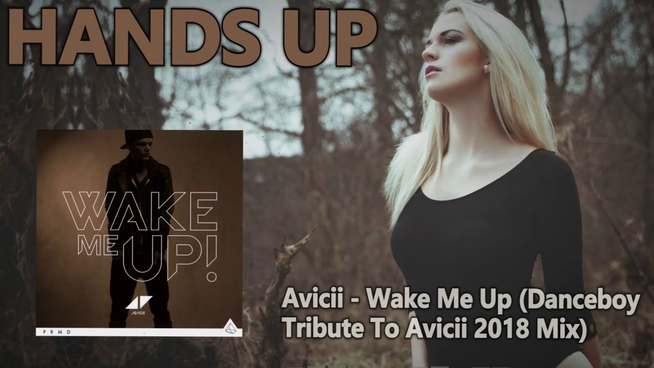 Avicii - Wake Me Up (Danceboy Tribute To Avicii 2018 Mix) feat. Aloe Blacc