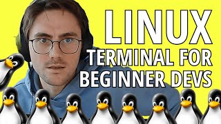 The LINUX TERMINAL: A beginner programmer's guide (easy edition)