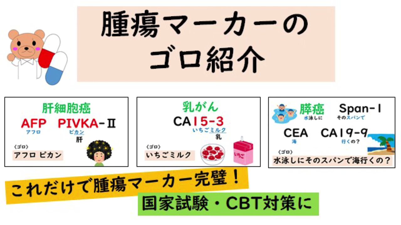 腫瘍マーカーの覚え方を紹介　【薬剤師国家試験】