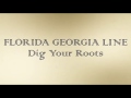 Miniature de la vidéo de la chanson Dig Your Roots