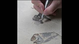 part 2 #preparation #technique #fossil #paleontology #geology #fossilhunting #greenriverformation